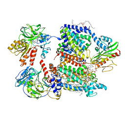 BU of 7xk7 by Molmil