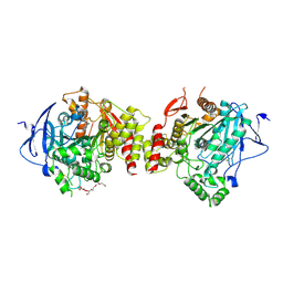 BU of 7xn1 by Molmil