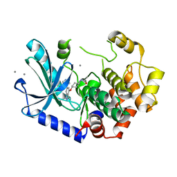 BU of 7xnc by Molmil