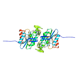 BU of 7xri by Molmil