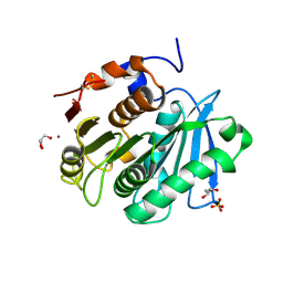 BU of 7xtr by Molmil