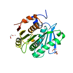 BU of 7xtr by Molmil