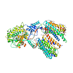 BU of 7y5t by Molmil