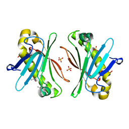 BU of 7y5y by Molmil