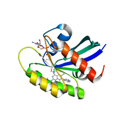 BU of 7ycc by Molmil