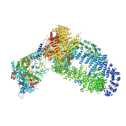 BU of 7yfp by Molmil