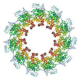 BU of 7yg7 by Molmil