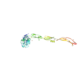 BU of 7yl4 by Molmil