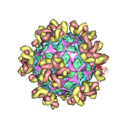 BU of 7yms by Molmil