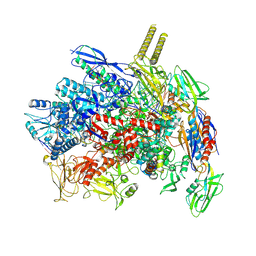 BU of 7ypa by Molmil