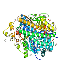 AU of 7yw6 by Molmil