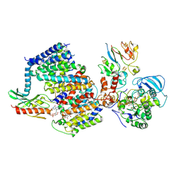 BU of 7zc6 by Molmil