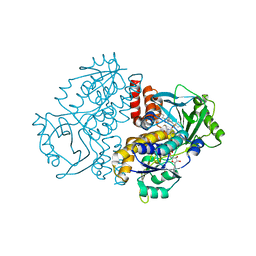 BU of 7zca by Molmil