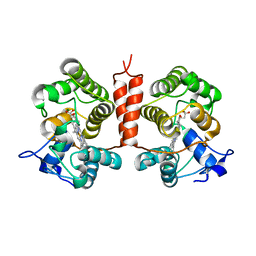 BU of 7zcl by Molmil