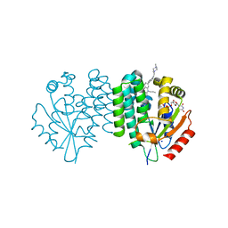 BU of 7zi7 by Molmil