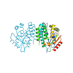 BU of 7zi8 by Molmil