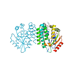 BU of 7zib by Molmil