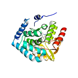 AU of 7zik by Molmil