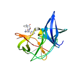 BU of 7zys by Molmil