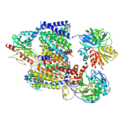 BU of 8a1v by Molmil