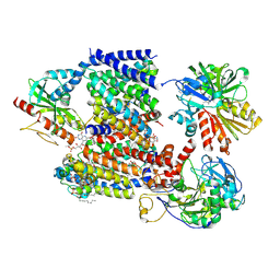 BU of 8a1x by Molmil