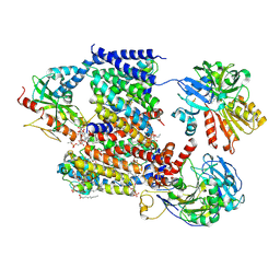 BU of 8a1y by Molmil