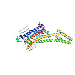 BU of 8a2o by Molmil