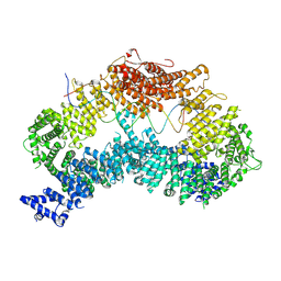 BU of 8a2q by Molmil