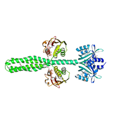 BU of 8a6x by Molmil