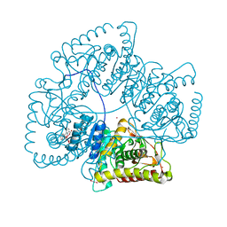 BU of 8ab2 by Molmil