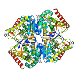 BU of 8ab3 by Molmil