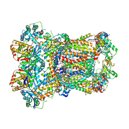 AU of 8abb by Molmil