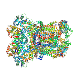 BU of 8abh by Molmil