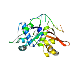 BU of 8ac8 by Molmil