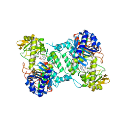 BU of 8acs by Molmil