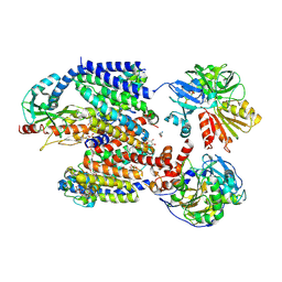 BU of 8acw by Molmil