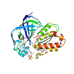 BU of 8ad4 by Molmil