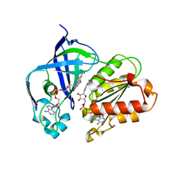 BU of 8ad5 by Molmil