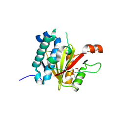 BU of 8adc by Molmil