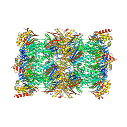 BU of 8adn by Molmil