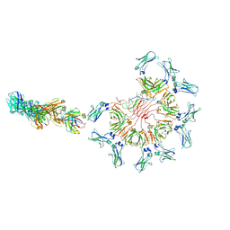 BU of 8ae2 by Molmil