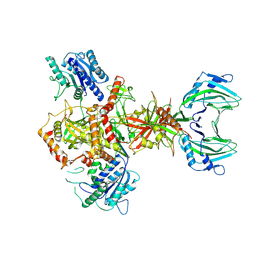 BU of 8ag5 by Molmil