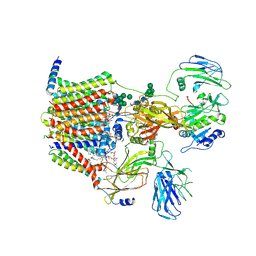 BU of 8agb by Molmil