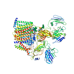 BU of 8agc by Molmil