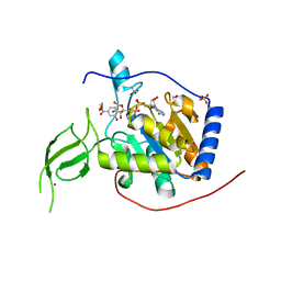 BU of 8akb by Molmil