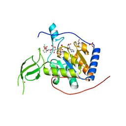 BU of 8akc by Molmil