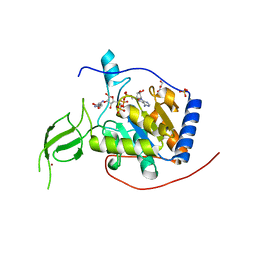 BU of 8akd by Molmil