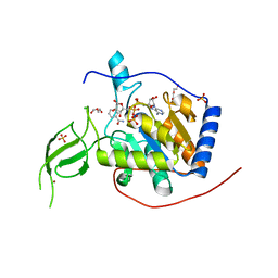 BU of 8akf by Molmil