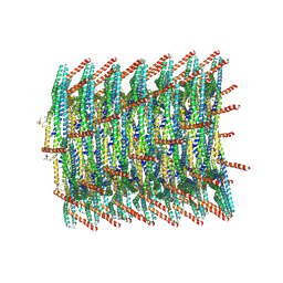 BU of 8akq by Molmil