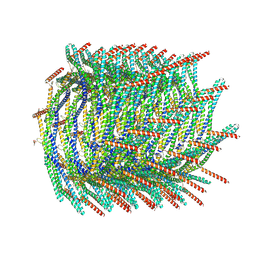 BU of 8akr by Molmil